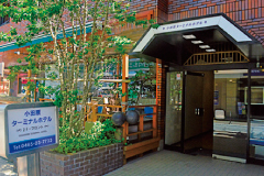 Odawara Terminal Hotel